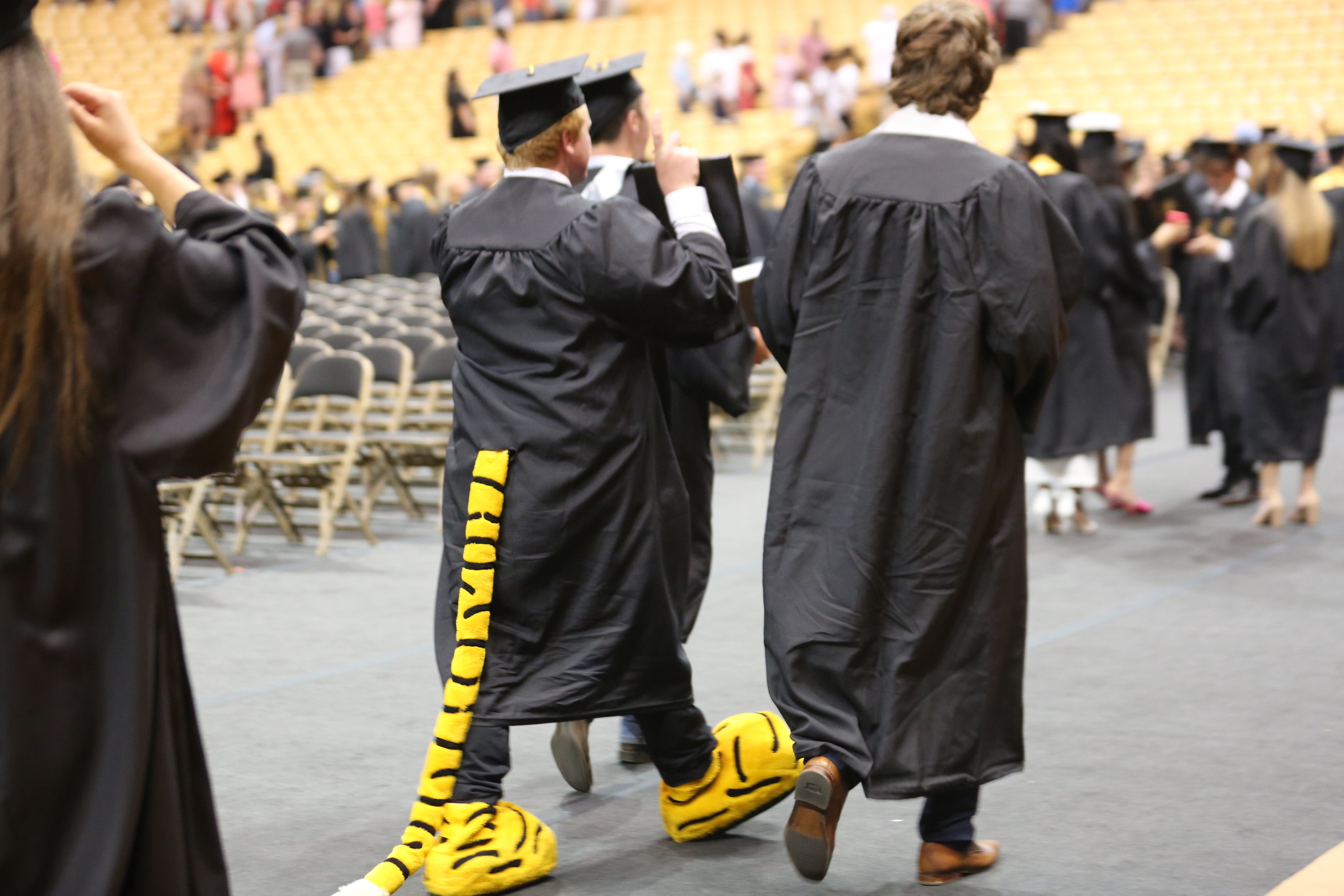 Graduate walking at commencement wearing Truman the Tiger costume